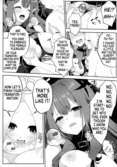 Possessed Fairy Knight Toriko After 10