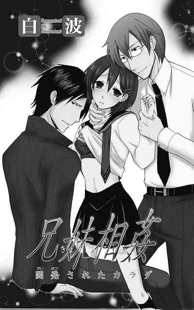 Kyoudai Soukan Kaihatsu Sareta Karada 2