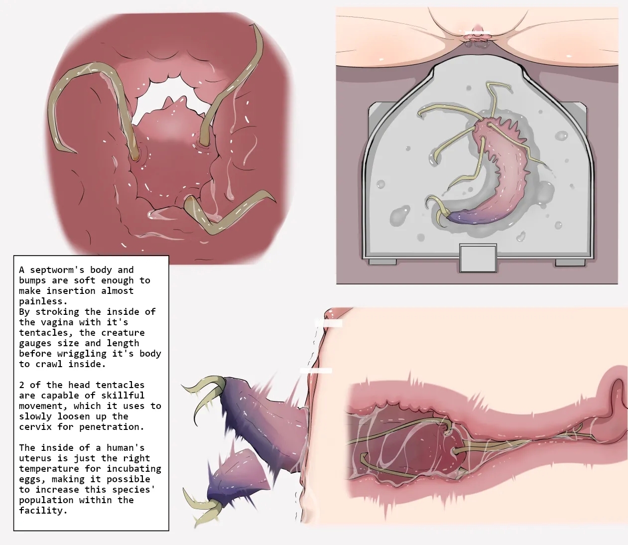 Insect Research Report No.01 3