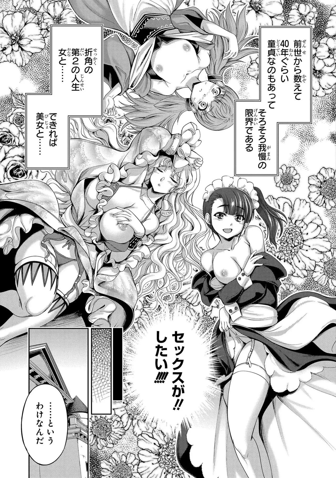 Koshaku chakunan koshoku monogatari Isekai haremu eiyu senki vol 01 - Page 17