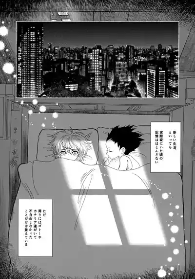 Hoshizora Shinjuu 9