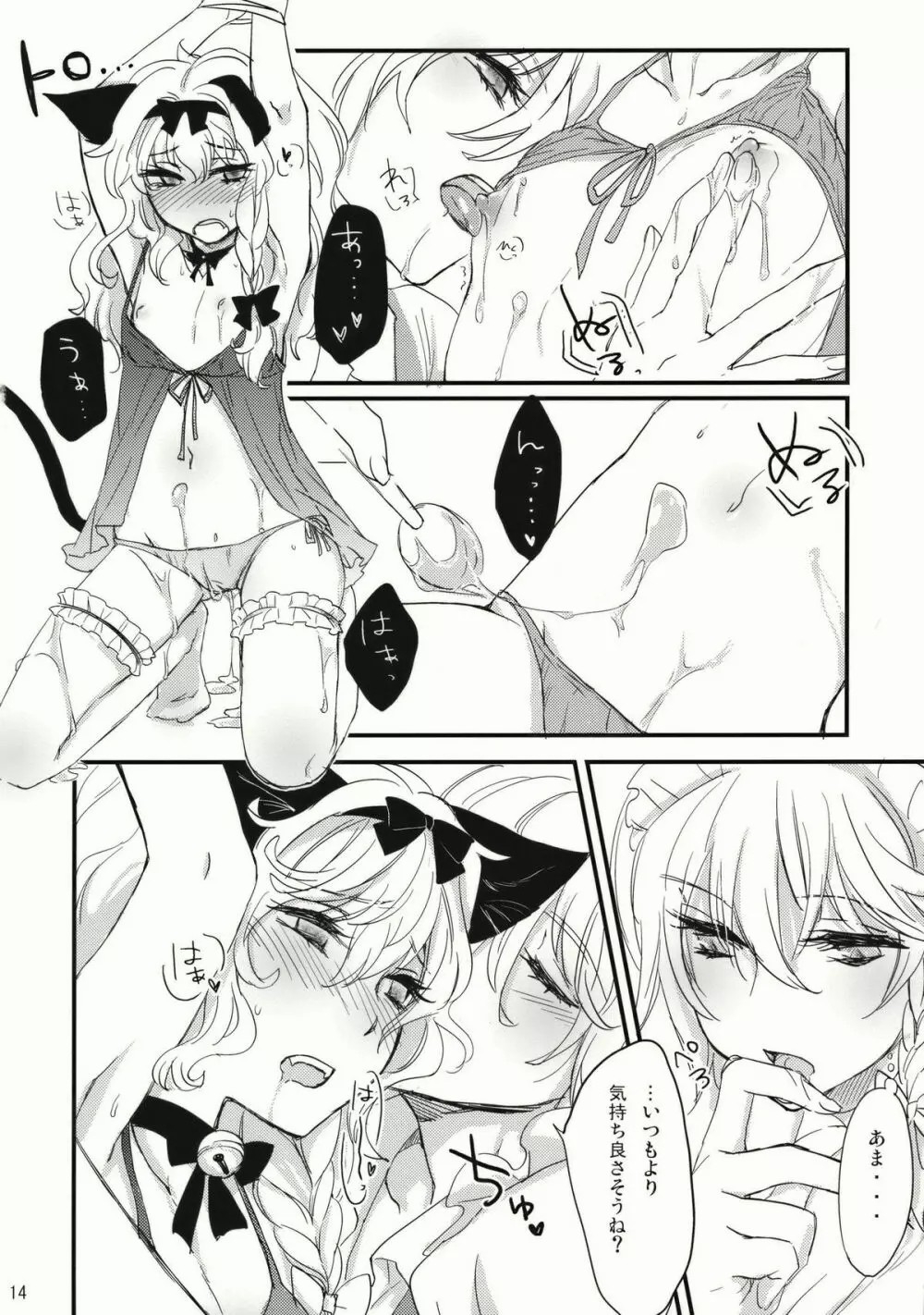 Kore Touhou de Yaru Hitsuyou Naku ne? - Page 14