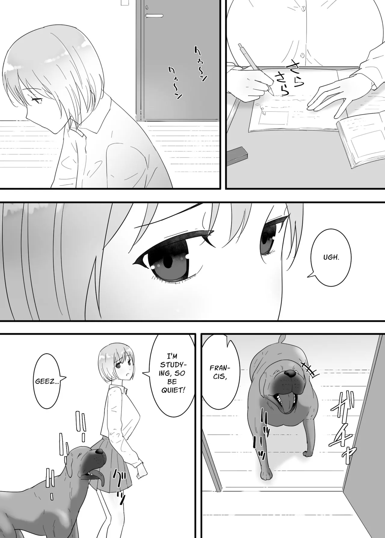 Francis wa Joshikousei ni Tanetsukeshitai! | Francis Wants to Mate! - Page 13