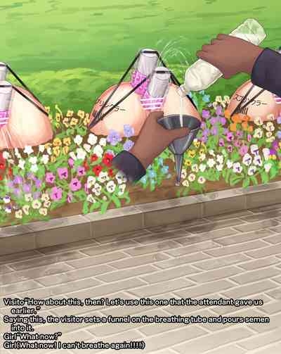 Fixtures in the courtyard - Story 5