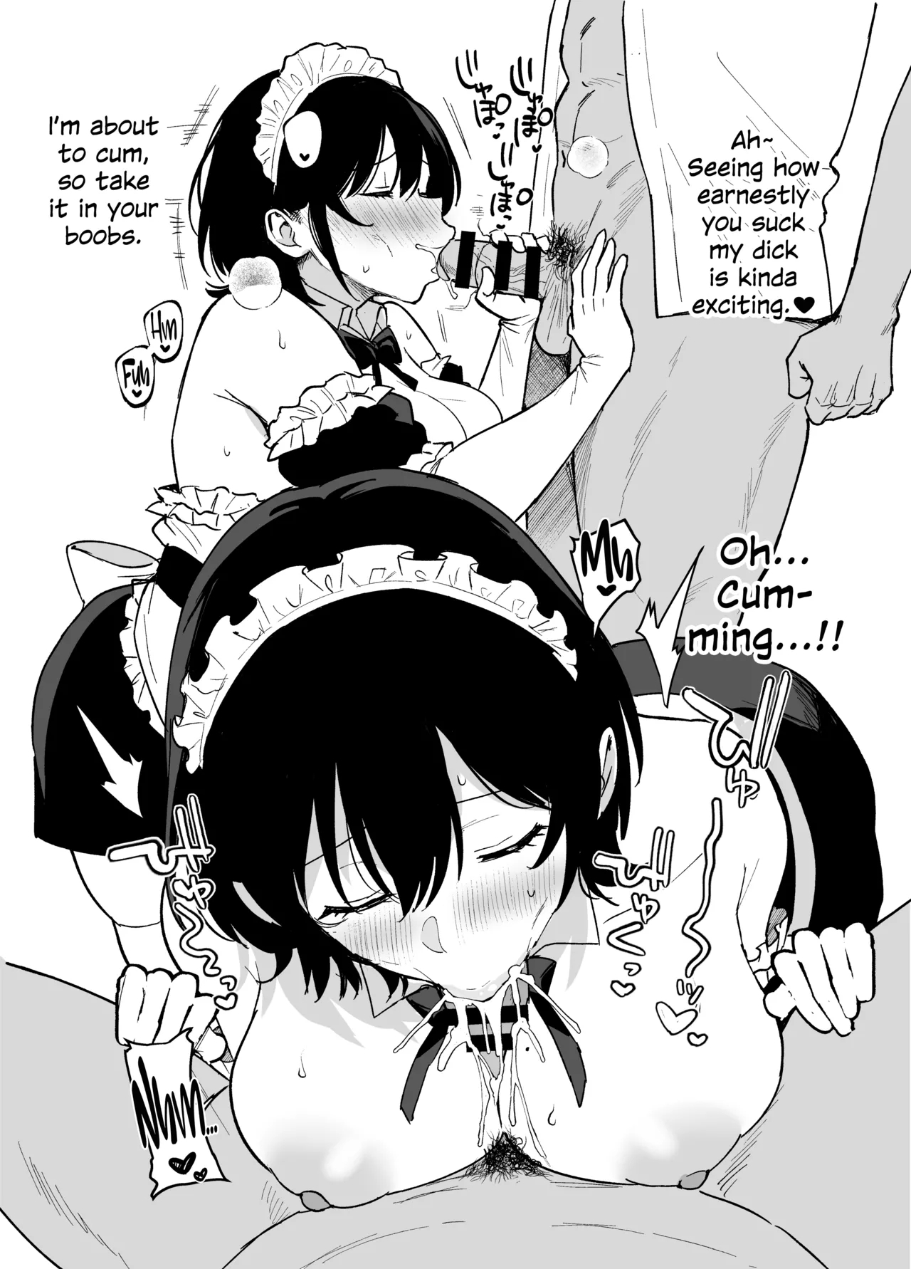 Mesu no Ie II+ C106 Limited Book - Page 66