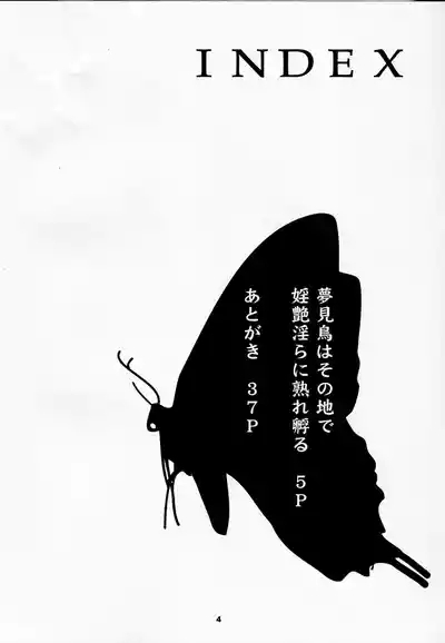 夢見鳥はその地で婬艶淫らに熟れ孵る1 4