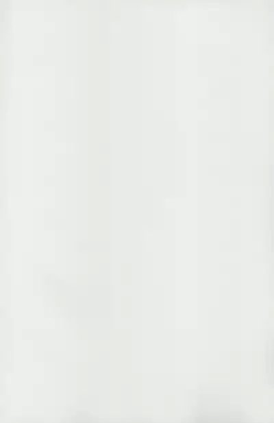 小邪神与厨二病少女之查理的私人沙滩篇 2