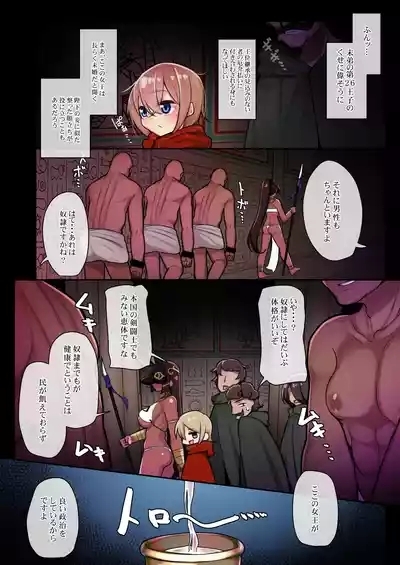 エジプト褐色〇リ合同 10