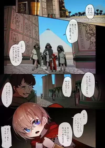 エジプト褐色〇リ合同 9