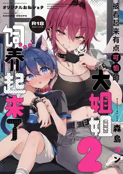 Chotto Kowai Onee-san ni Katte morau Koto ni Narimashita.2 | 被看起来有点恐怖的大姐姐饲养起来了 2 1