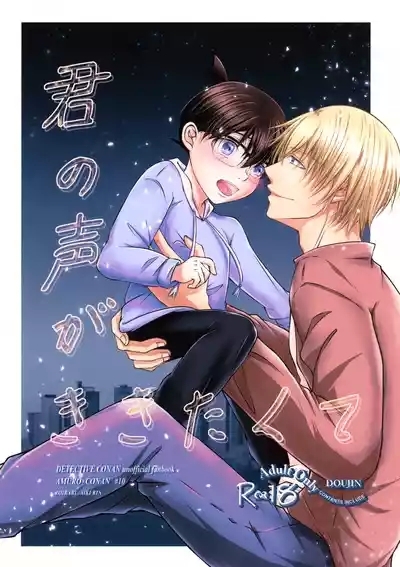 Kimi no Koe ga Kikitakute 1