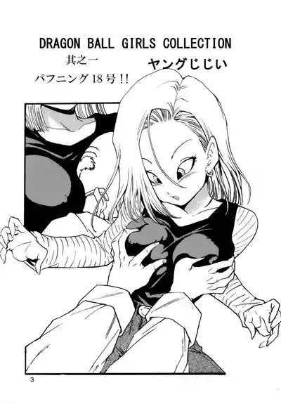Dragon Ball Girls Collection 1 4