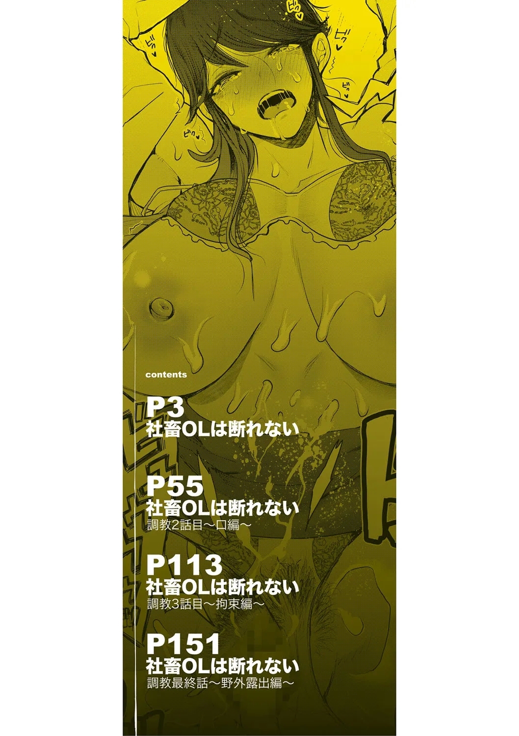 Shachiku OL wa Choukyou o Kotowarenai - Page 3