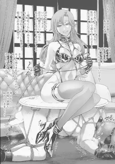 Higyaku no Danpen 9