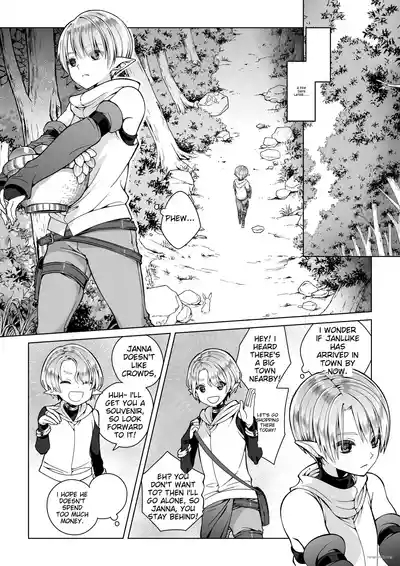 The Twin Elves' trials 8