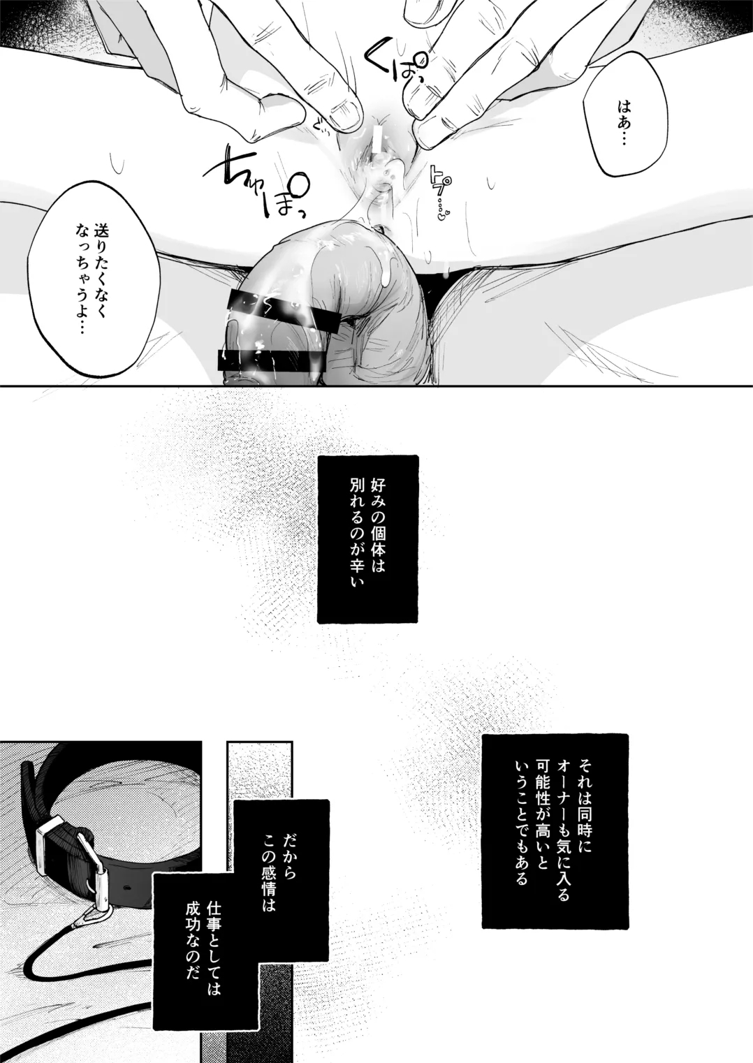 調整記録 ご主人様の元へ届くまで - Page 27
