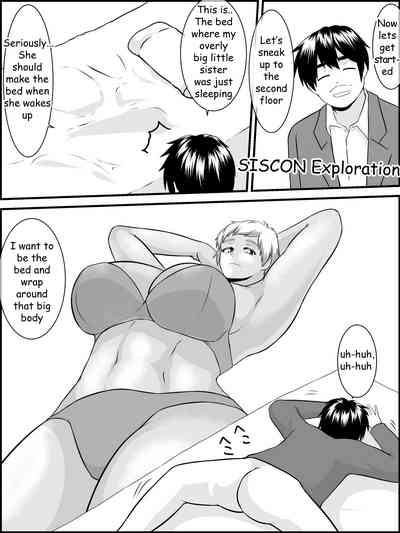 Imouto Ookiindamon 9