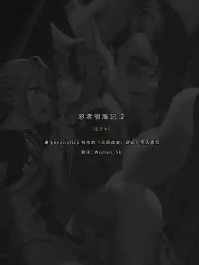 忍者驯服记 2 ：《火焰纹章：命运》同人 4