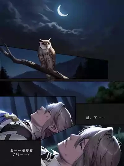 忍者驯服记 2 ：《火焰纹章：命运》同人 5