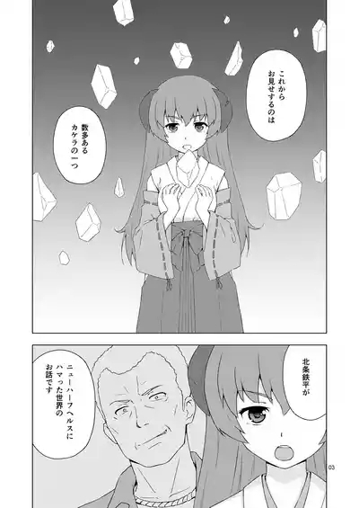 Mesu-ka Shoukougun 2